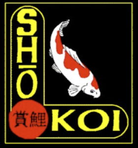 ShoKoi2016-06-29 at 5.17.42 PM