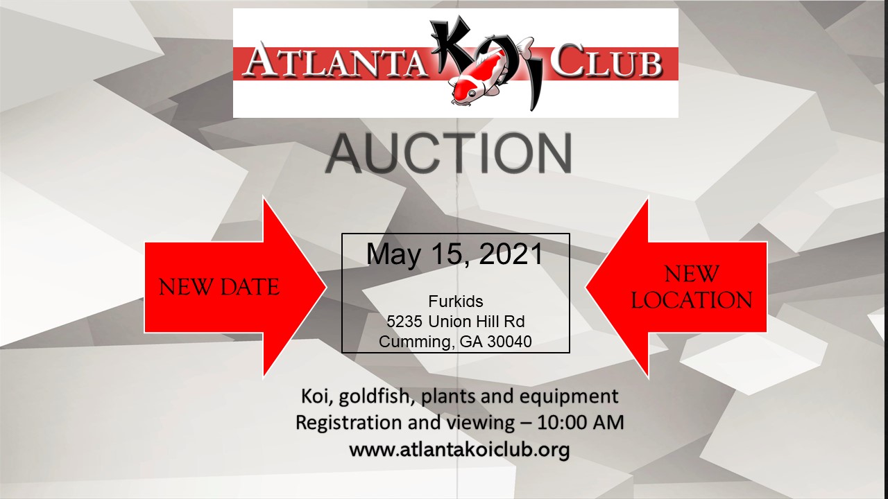 Auctions Atlanta Koi Club